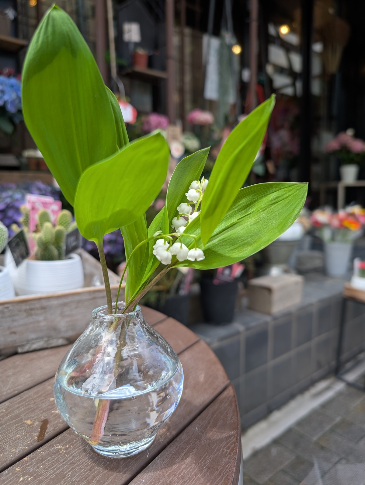 ５月１日は、すずらんの日🌼