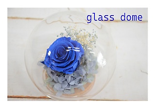 ガラスドームのプリザーブドフラワー【deep blue】