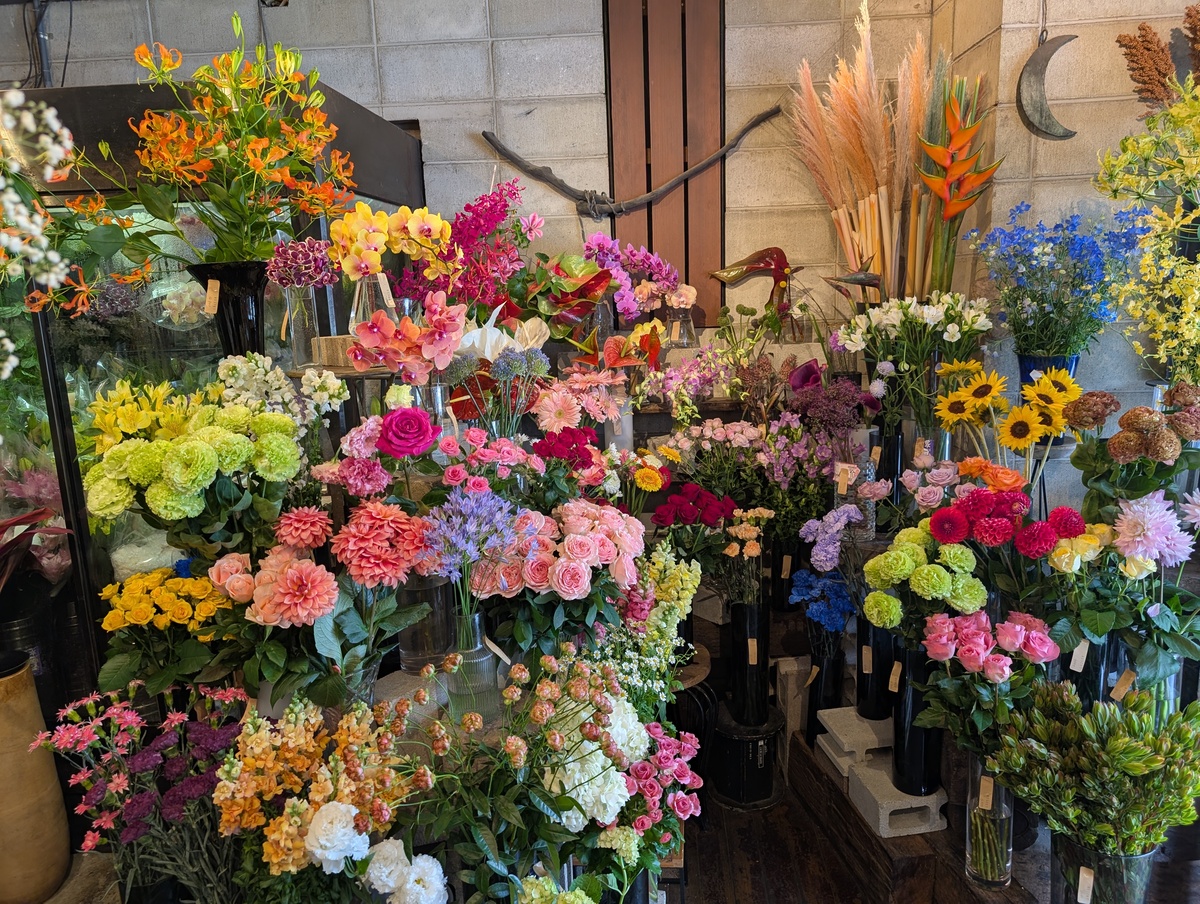 季節が移ろう店内のお花🌻