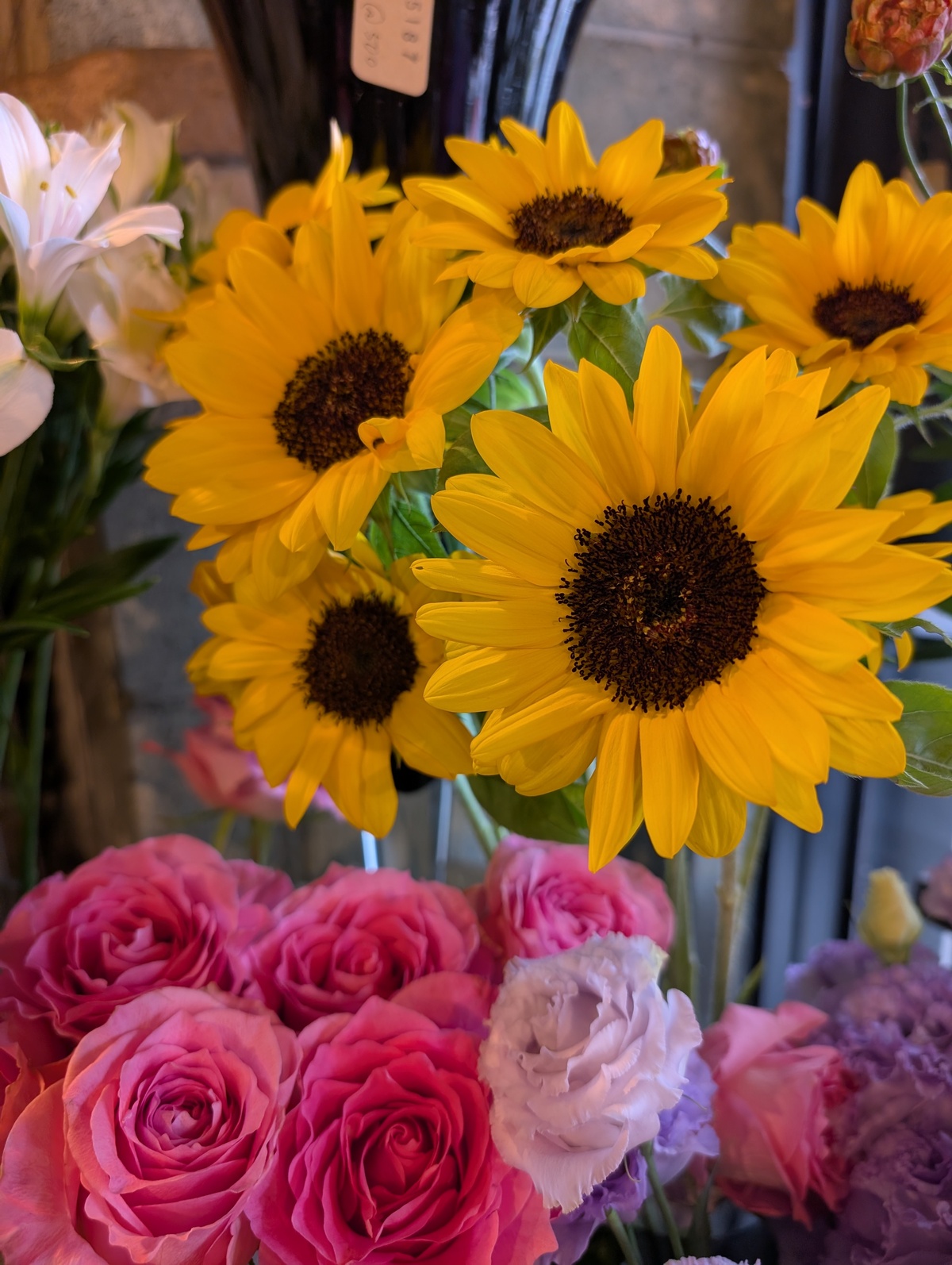 ひまわり入荷してます🌻！