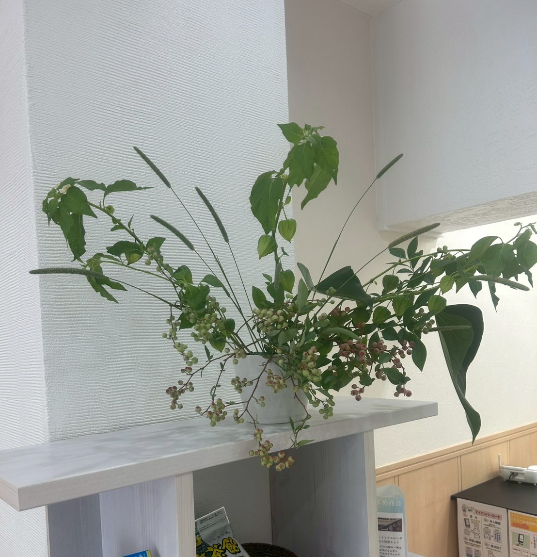 【店舗装花】ON薬局様