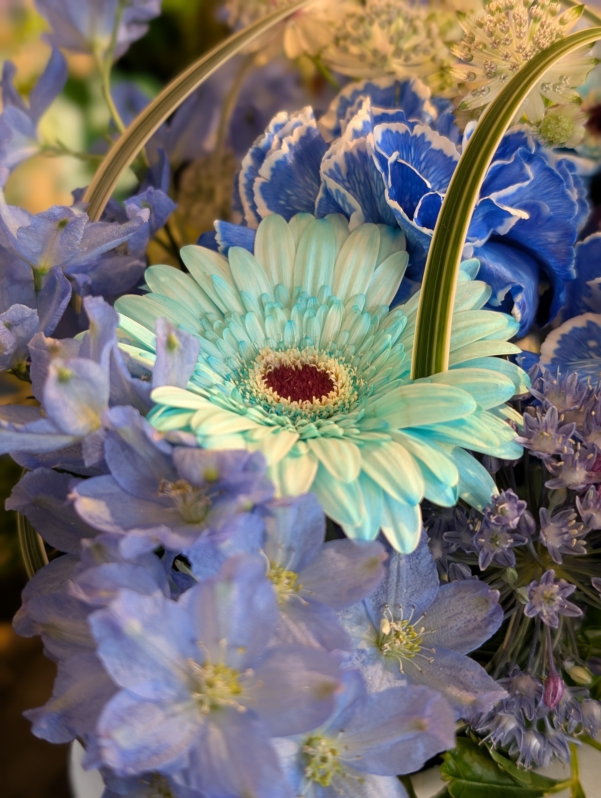 青いお花！？