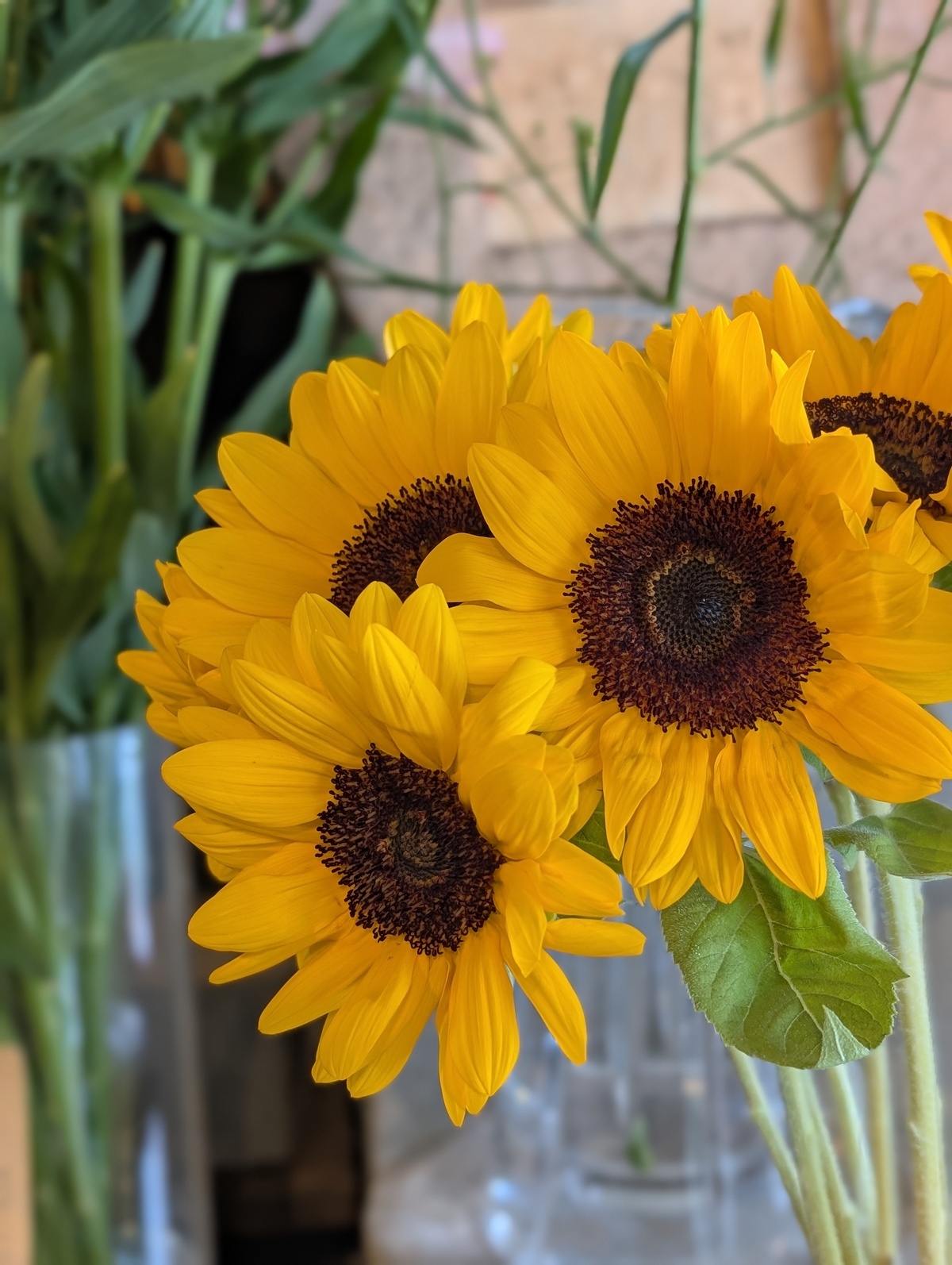 夏季休業のお知らせ🌻