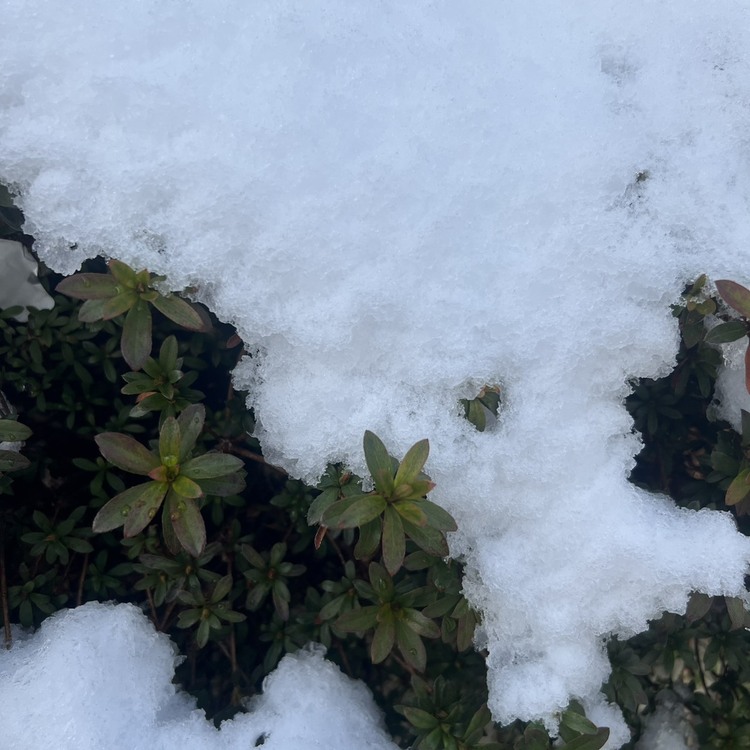 キャンペーンサムネイル