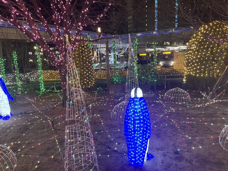 今年もバンビオイルミネーションは光ってま～す✨️