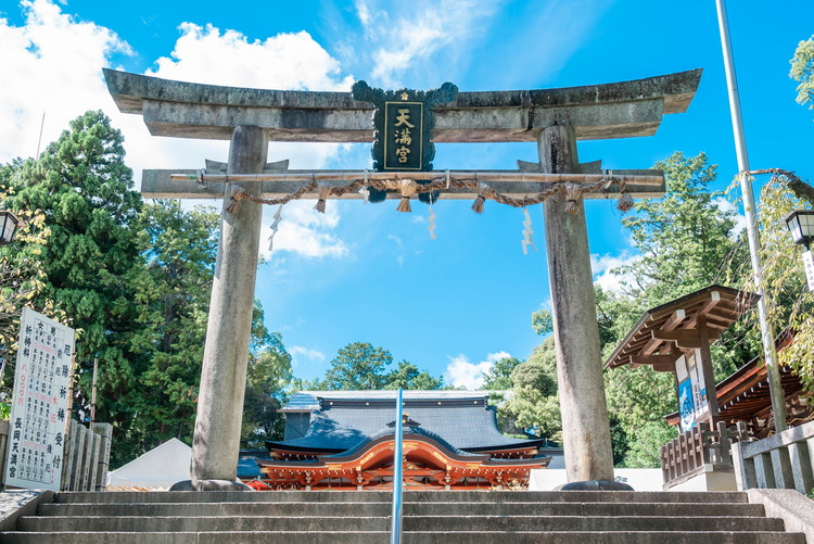 🎍新年、明けましておめでとうございます🎍