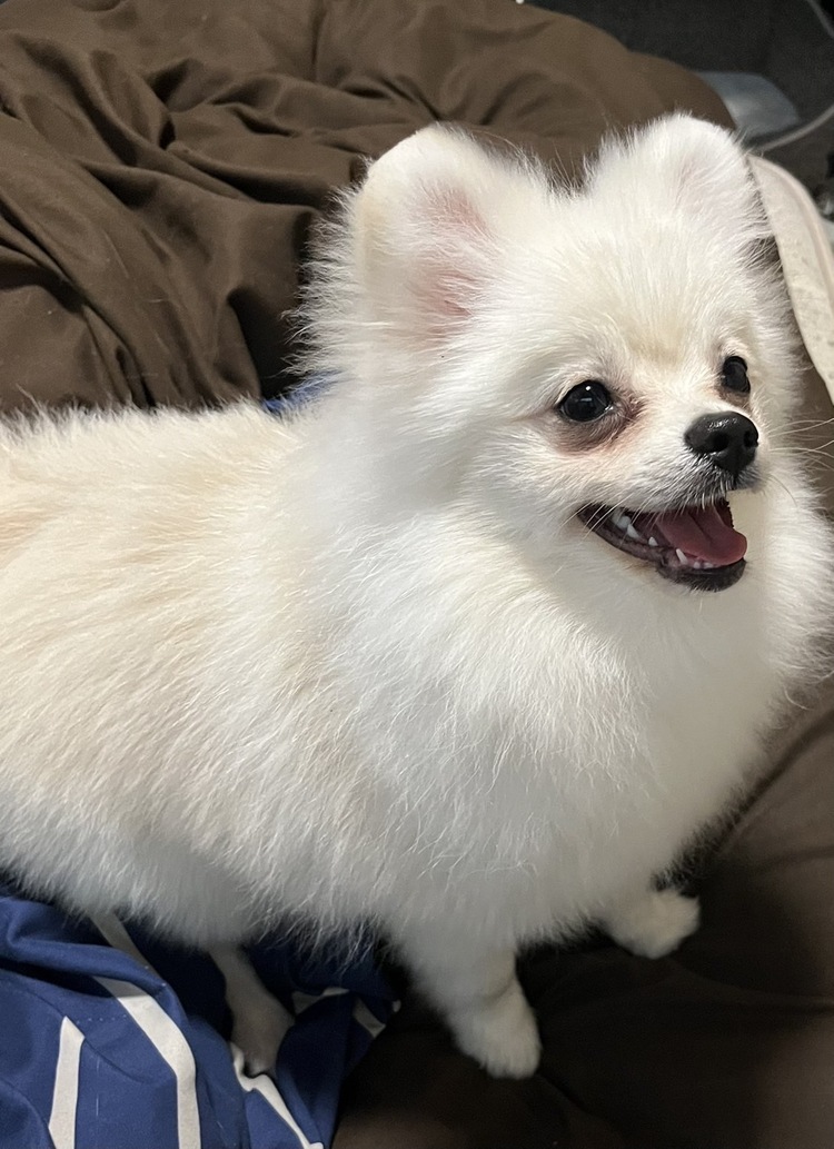 キャンペーンサムネイル