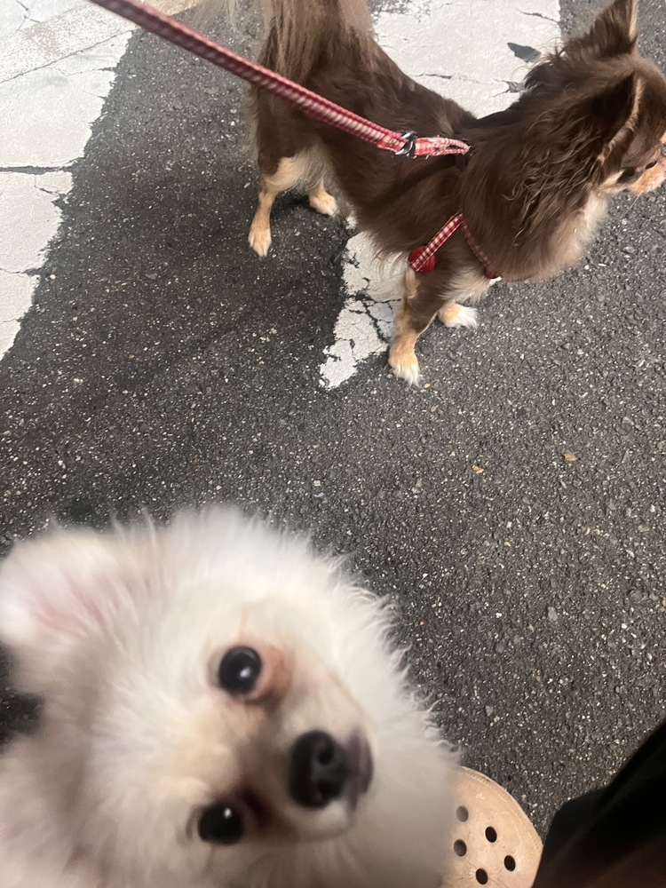 キャンペーンサムネイル