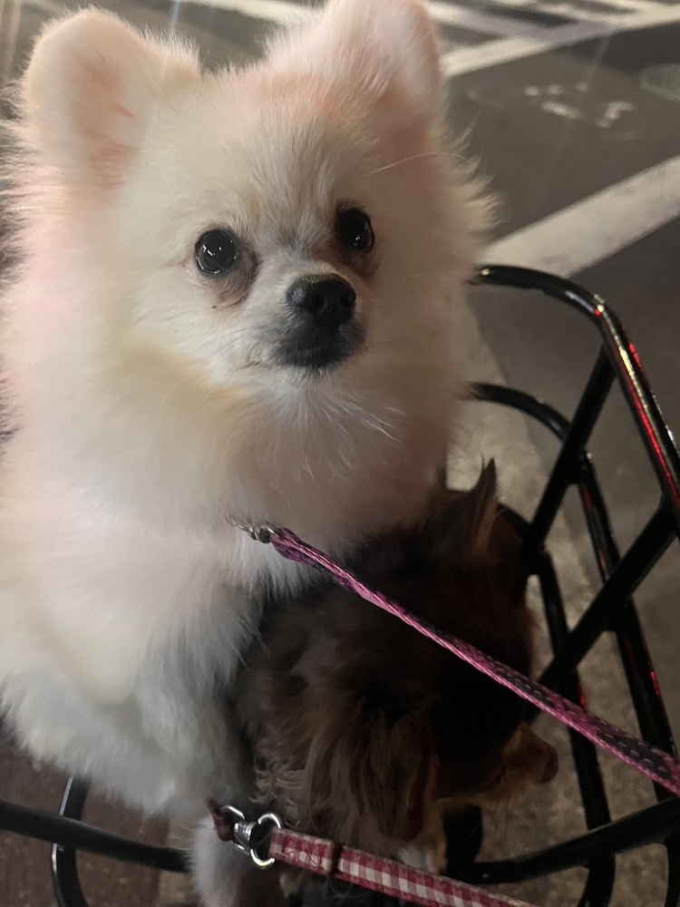 キャンペーンサムネイル