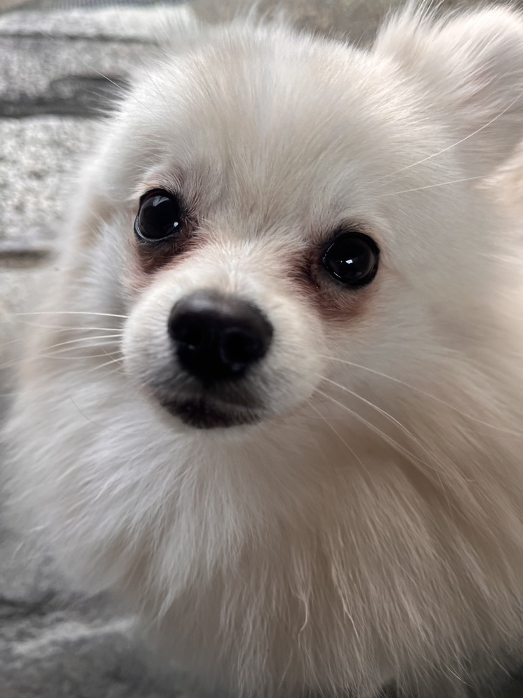 キャンペーンサムネイル