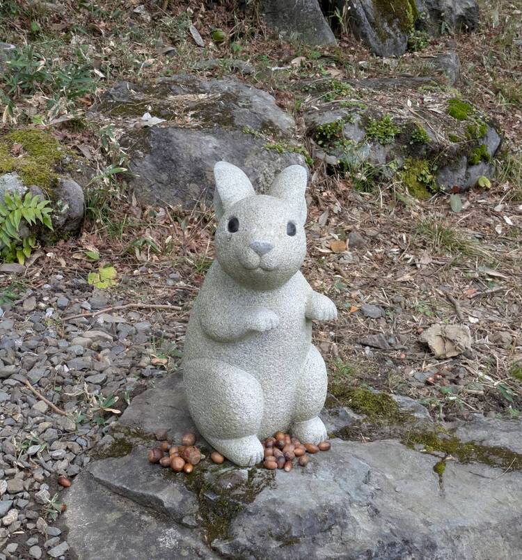 キャンペーンサムネイル