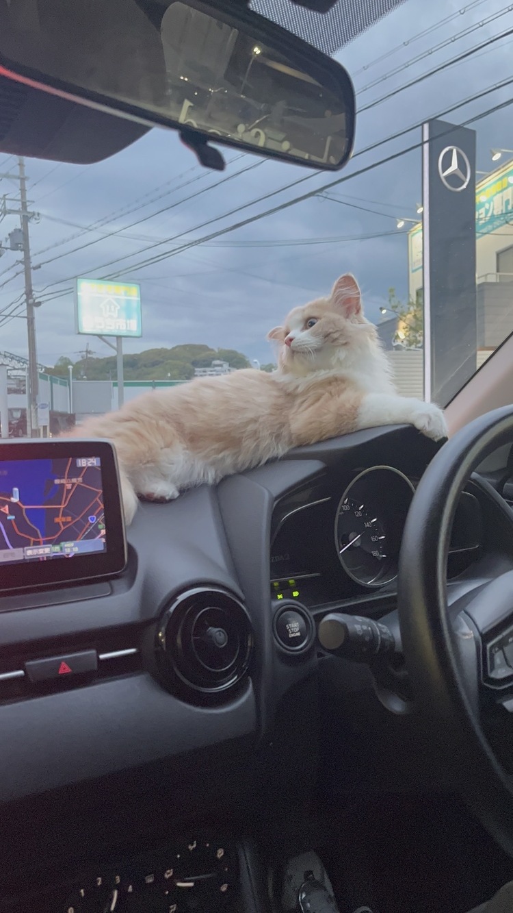 キャンペーンサムネイル