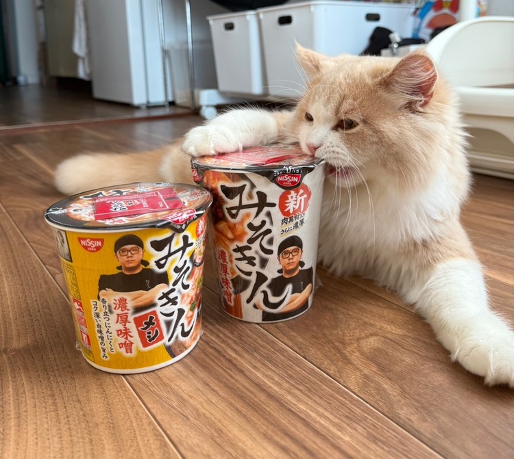 みそきん🍜