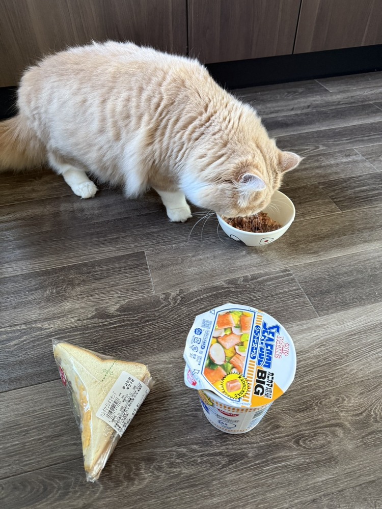 キャンペーンサムネイル