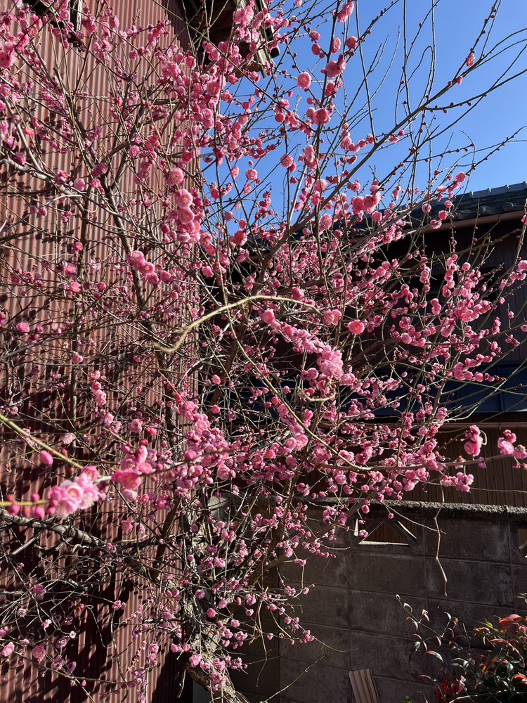 キャンペーンサムネイル