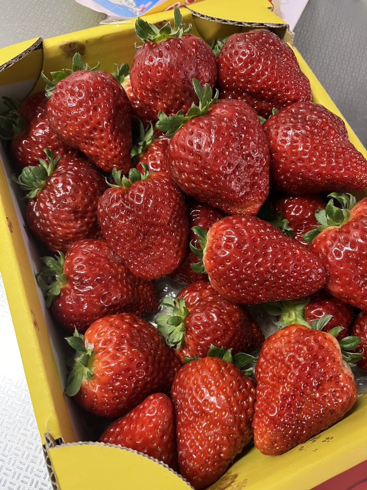 キャンペーンサムネイル