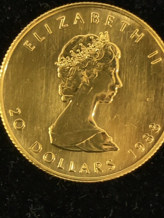 お知らせの画像