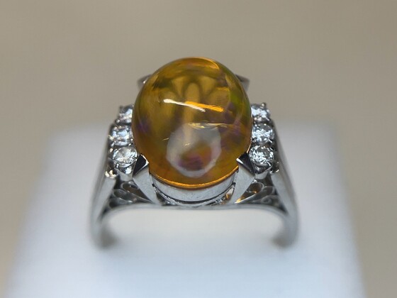 お知らせの画像