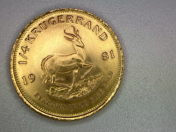 お知らせの画像