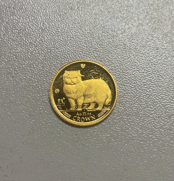 お知らせの画像