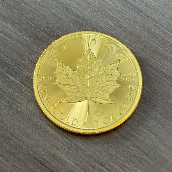 お知らせの画像