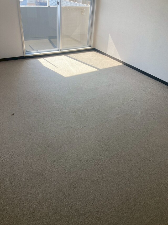 カーペットクリーニング　　長岡市　　